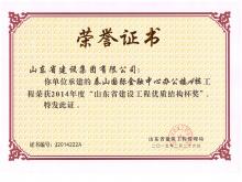 泰山国际A楼山东省尊龙凯时工程优质结构杯