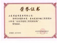 特变·森林花园3#楼获2015年度山东省尊龙凯时工程优质结构